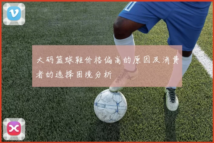 大码篮球鞋价格偏高的原因及消费者的选择困境分析