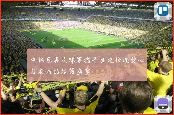 中韩慈善足球赛携手共进传递爱心与友谊的绿茵盛宴