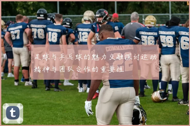 足球与乒乓球的魅力交融探讨运动精神与团队合作的重要性